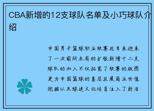 CBA新增的12支球队名单及小巧球队介绍
